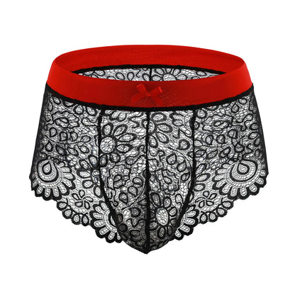 Lace Mesh Erotic Panties
