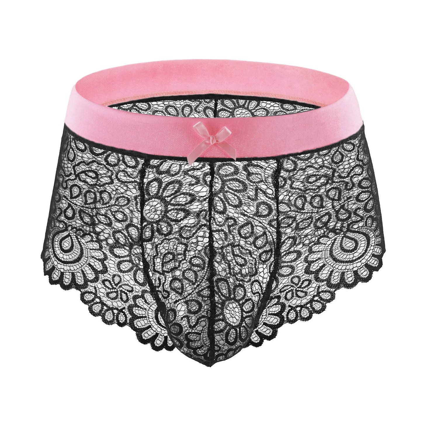 Lace Mesh Erotic Panties