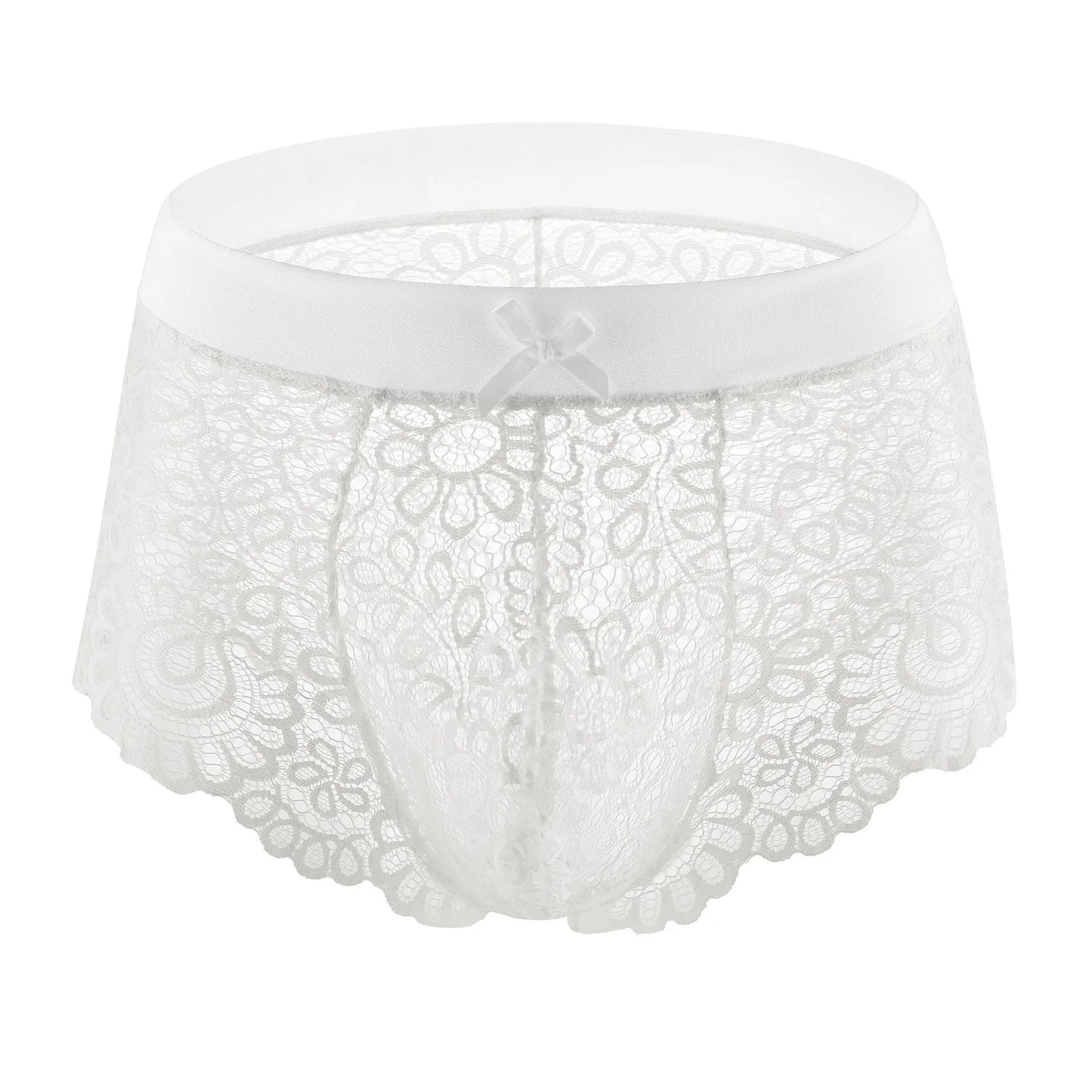Lace Mesh Erotic Panties