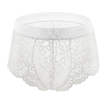 Lace Mesh Erotic Panties