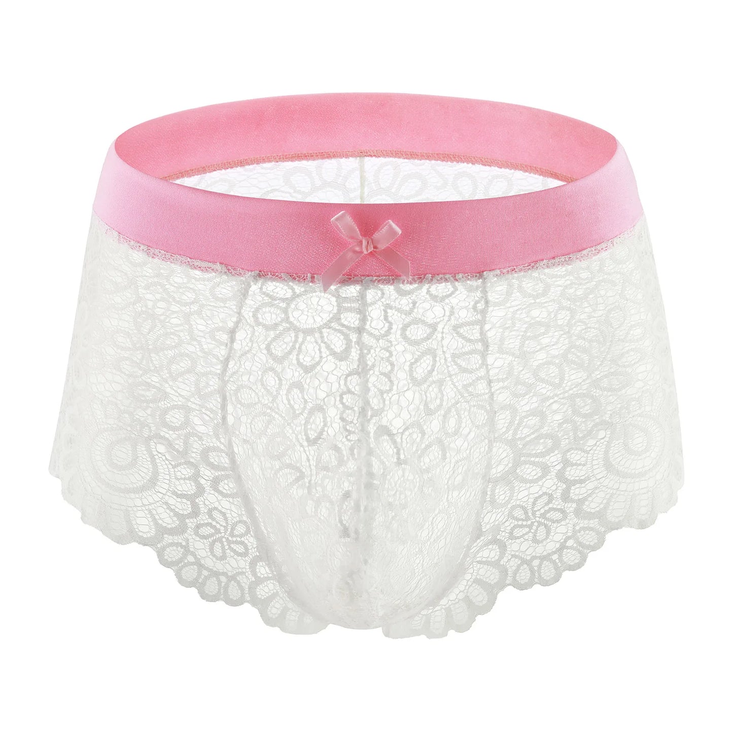 Lace Mesh Erotic Panties