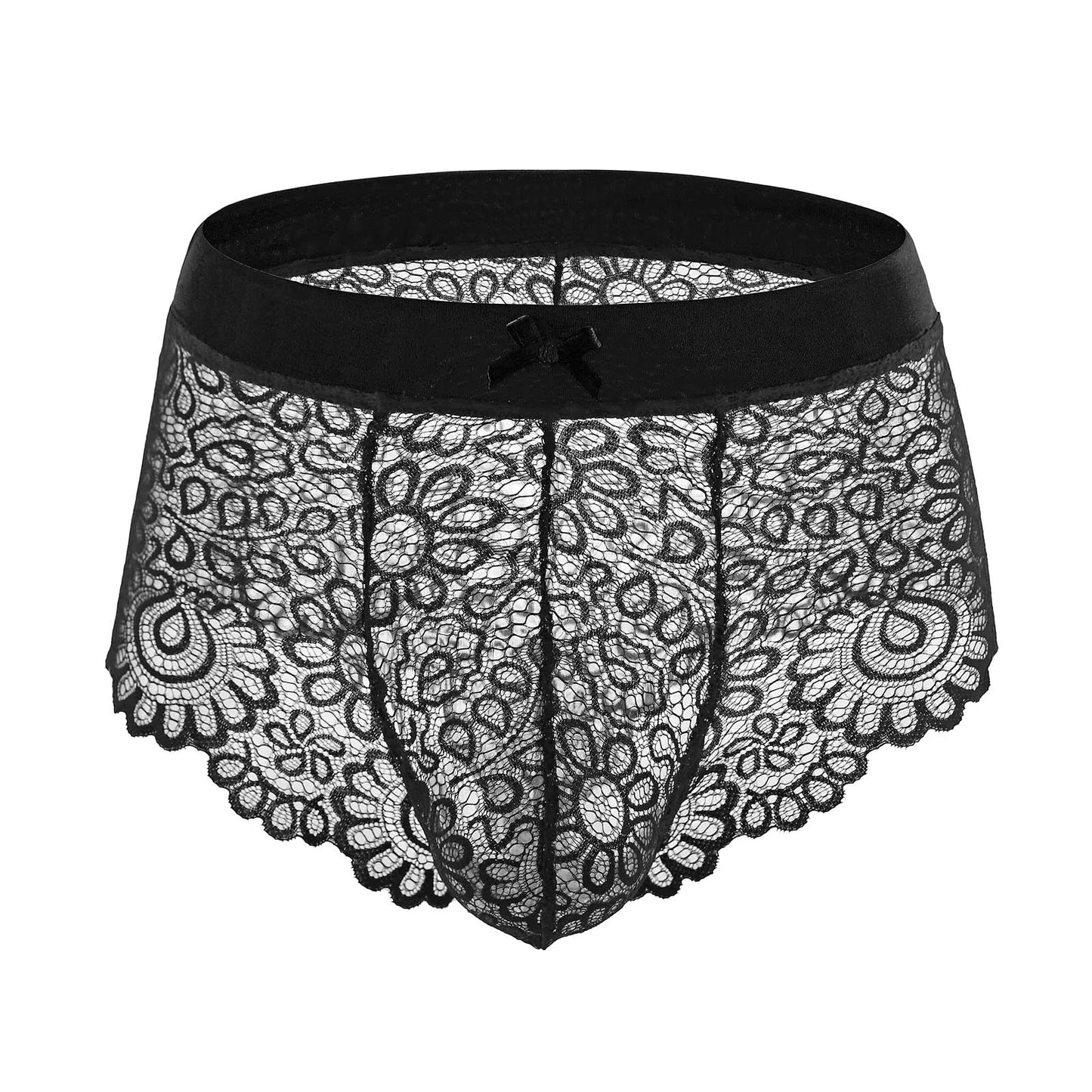 Lace Mesh Erotic Panties