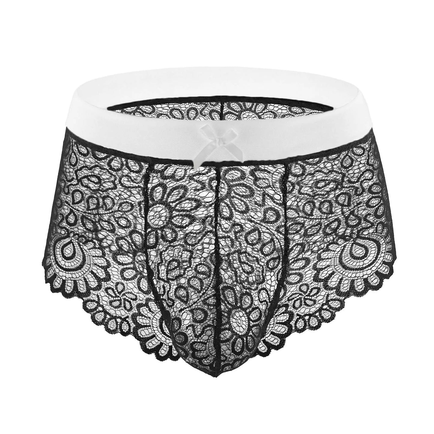 Lace Mesh Erotic Panties
